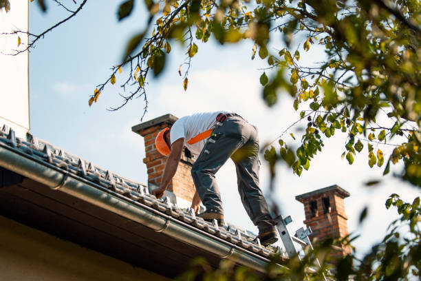 Best Roof Leak Repair  in Larksville, PA